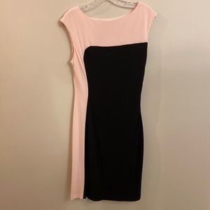 Dress Barn Size 6 Pencil Dress